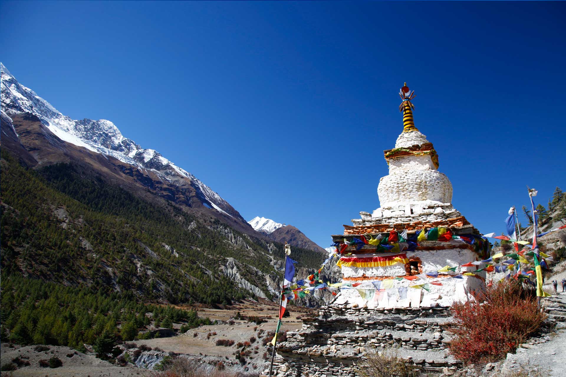 Annapurna Region Trek