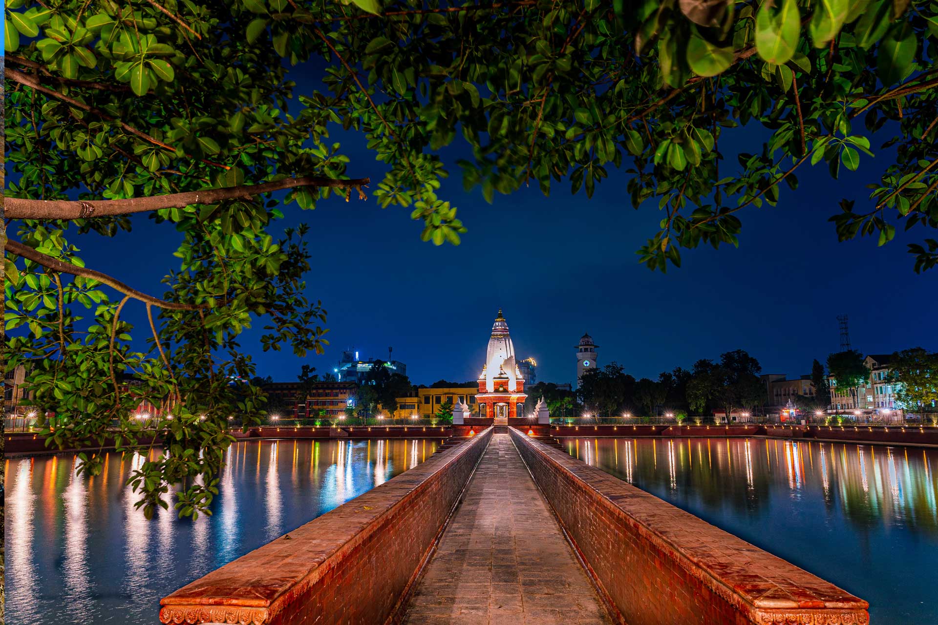 Experience Festival of Lights