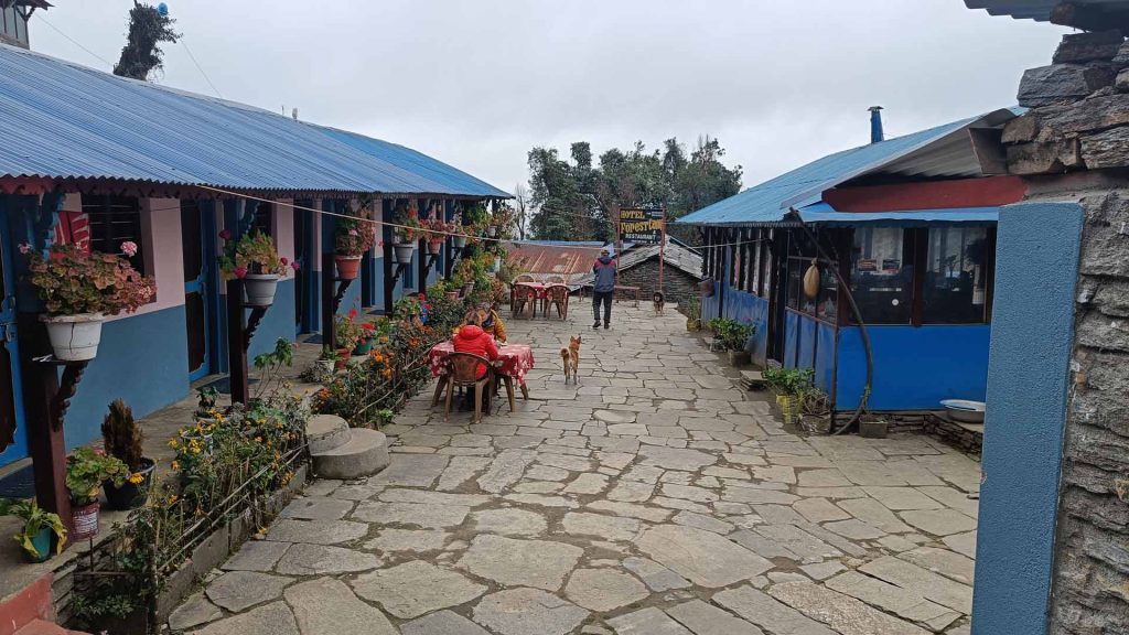 Tea House At Mardi Trek 